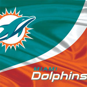 NFL Miami Dolphins Xbox 360 (Includes HDD) Skin